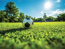 红单足彩预测app用户使用场景