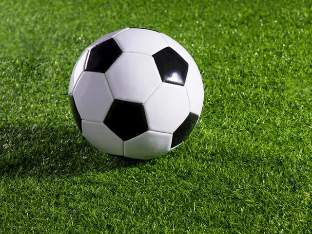 红单足彩预测app使用流程示意图